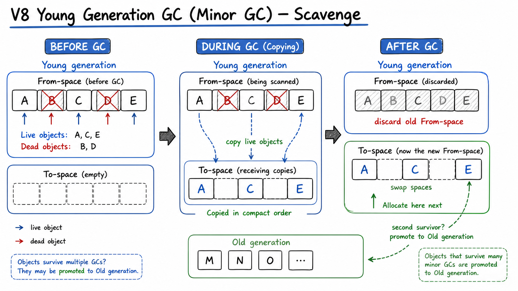 V8 young generation scavenge